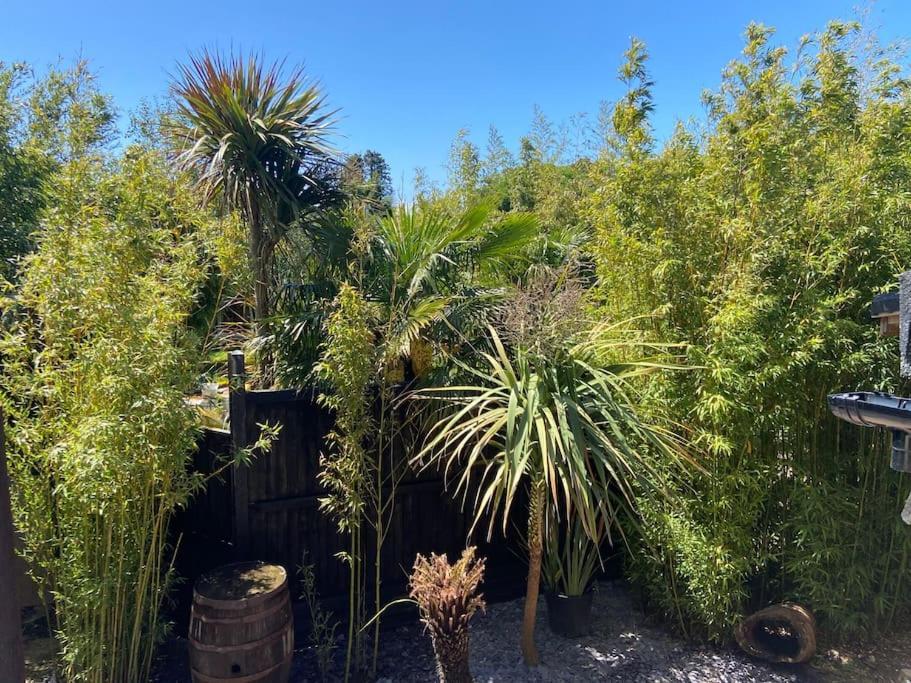 Jungle Cabin Martin Mill Bagian luar foto