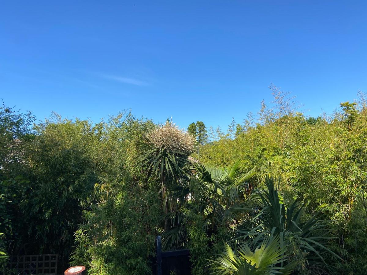 Jungle Cabin Martin Mill Bagian luar foto