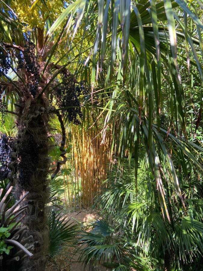 Jungle Cabin Martin Mill Bagian luar foto
