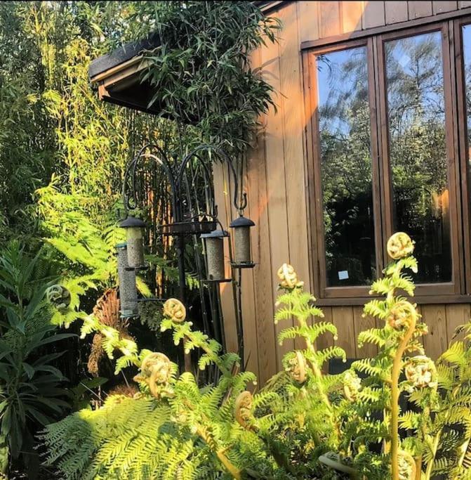 Jungle Cabin Martin Mill Bagian luar foto