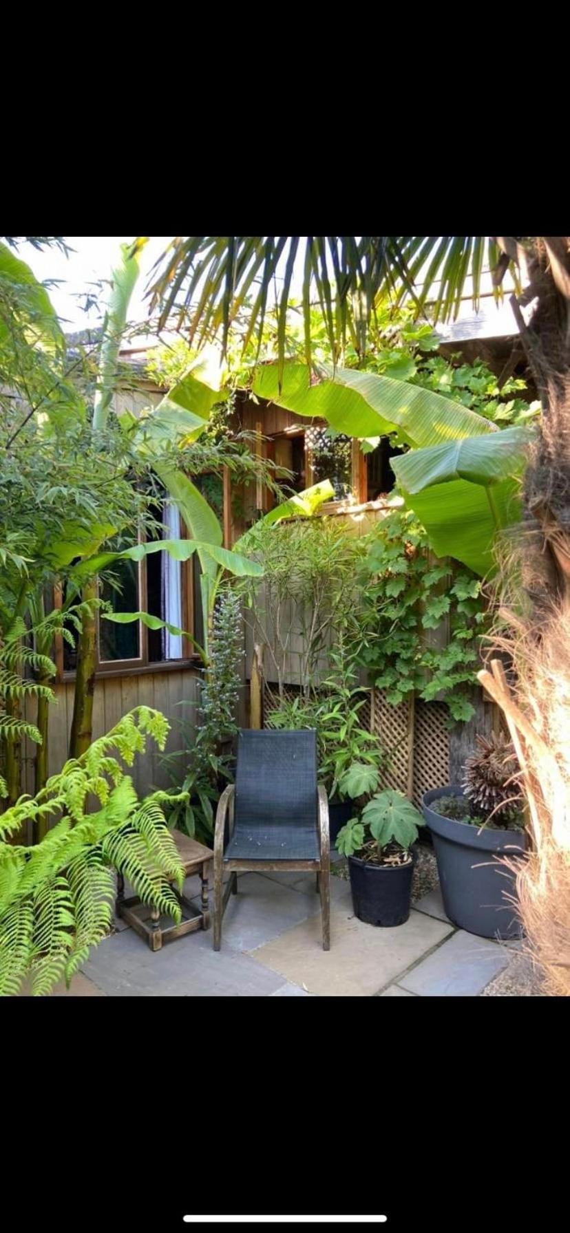 Jungle Cabin Martin Mill Bagian luar foto